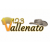123 Vallenato